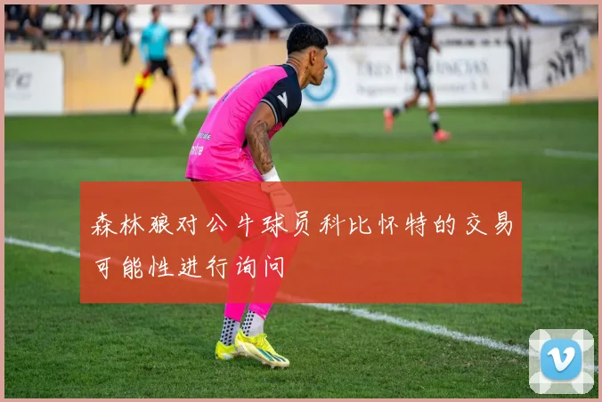 森林狼对公牛球员科比怀特的交易可能性进行询问